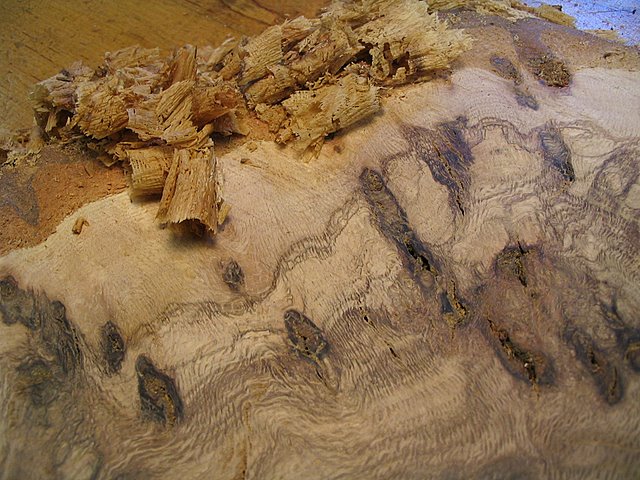 CloseUp of Scrapings to Left